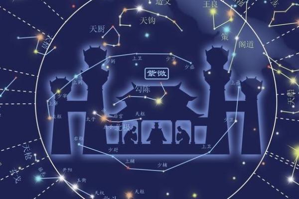 大运紫薇斗数