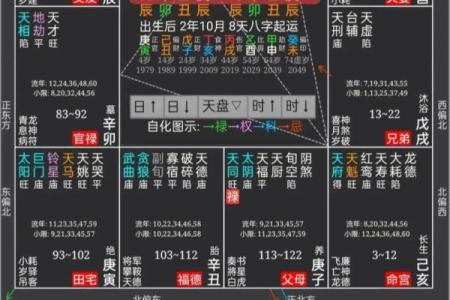 紫薇斗数与八字优缺点