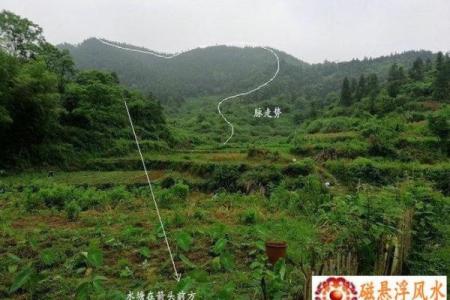 人生在世什么时候需要看风水？