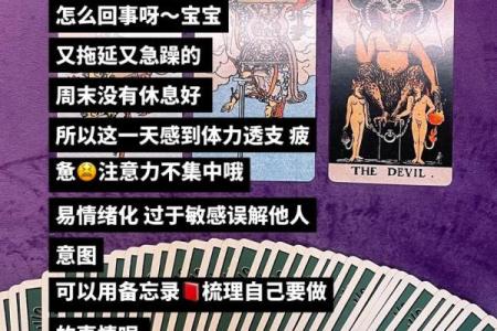 塔罗测试：未来三个月，哪方面你会获得成功？