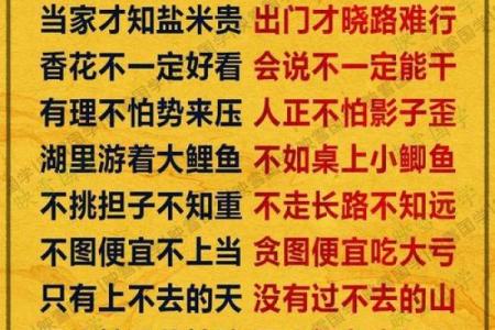 没基础硬学八字！墙都不扶，舅服你。