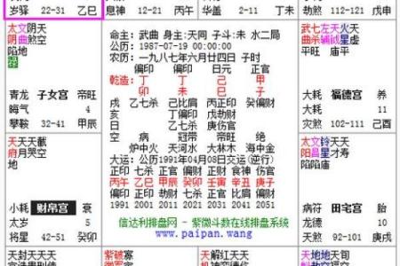 紫薇斗数的小限指的什么