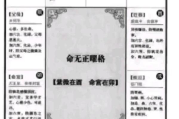 紫薇斗数求解盘