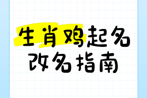 下午出生的属鸡男孩宜用什么字起名字姓名