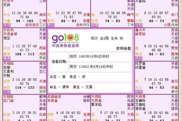 神巴巴紫薇斗数下载