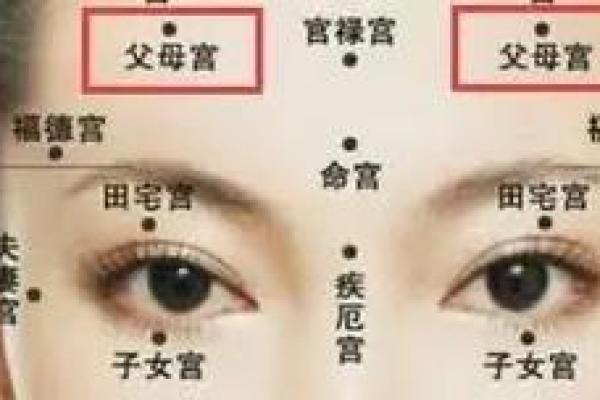 面相额头 女人额头高算命