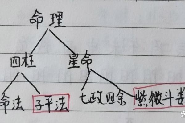 八字实战教学 八字教学法（八）