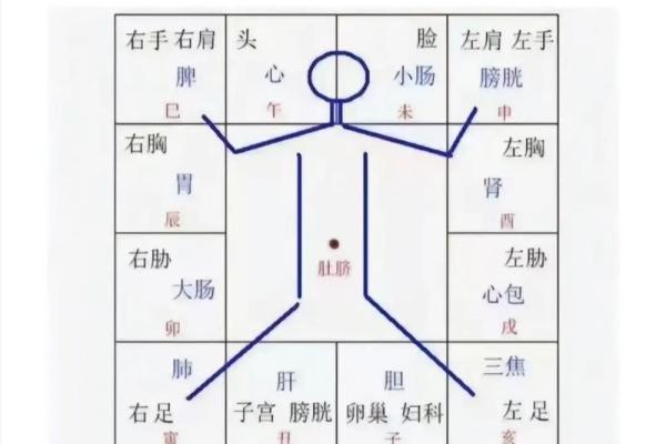 紫薇斗数与梅花易