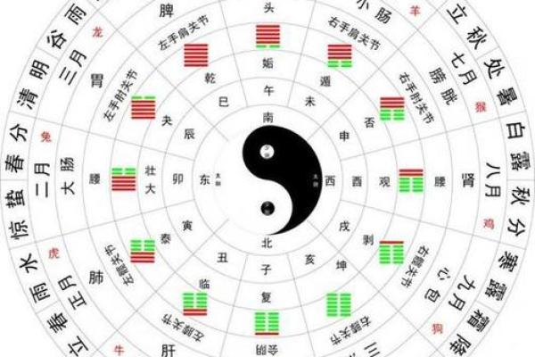 八卦八字
