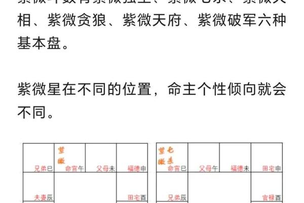 紫薇斗数富豪命