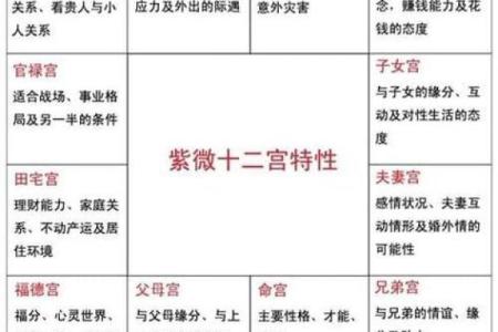 葵葵紫薇斗数入门的简单介绍