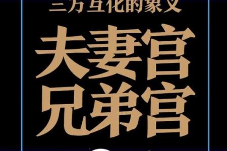 紫薇斗数丈夫富贵