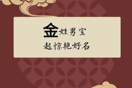 金姓女孩名字大全-金姓女孩起名字大全-金姓名字大全姓名