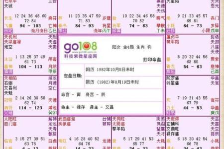 神巴巴紫薇斗数下载