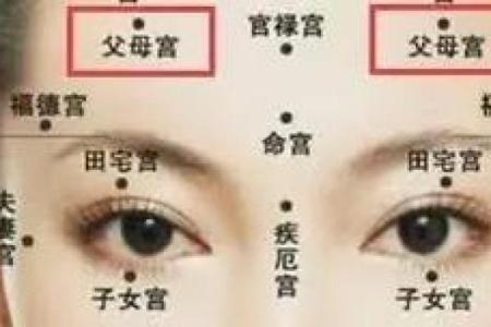 面相额头 女人额头高算命