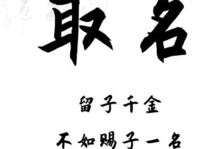 查八字起名