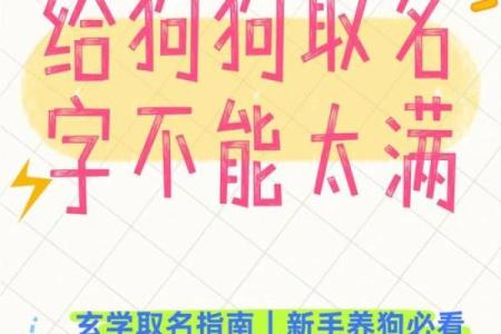 如何给属狗午时出生的男孩起名字，宜用什么字姓名