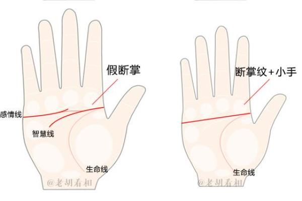 手相假断掌算命图解