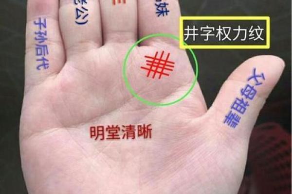 手型算命：兼型手人的性格与命运