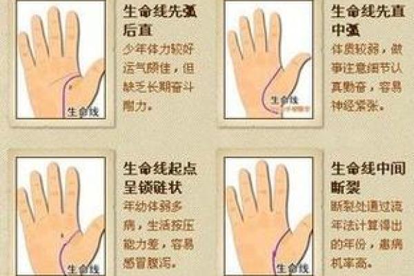 凯帝阿手相算命图解大全07