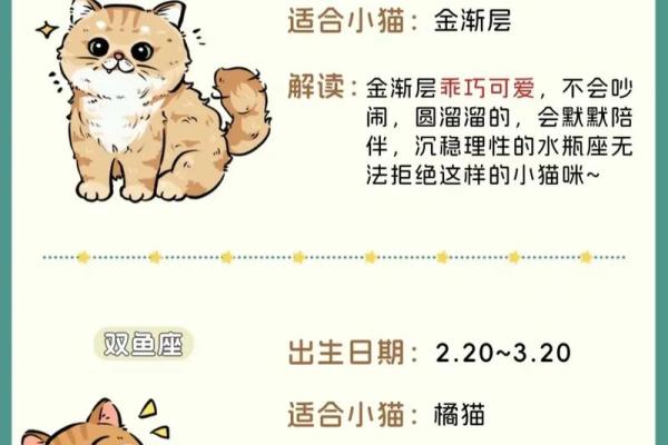 搜索十二星座最适合养的宠物