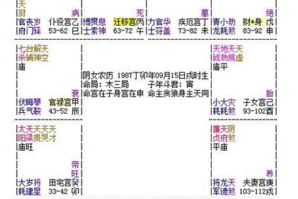 紫薇斗数书店有吗