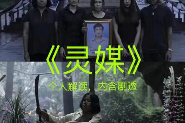 紫薇斗数灵媒