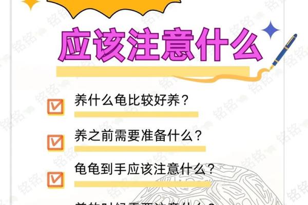 乌龟一般养几只吉利养龟风水养单数还是双数好