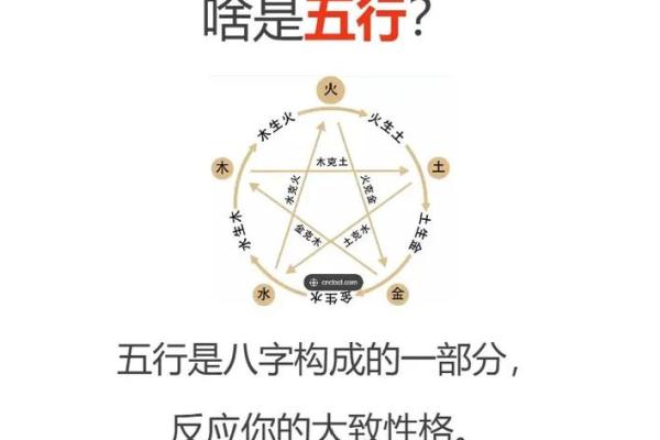 免费测五行八字查询器周易 八字算命测五行