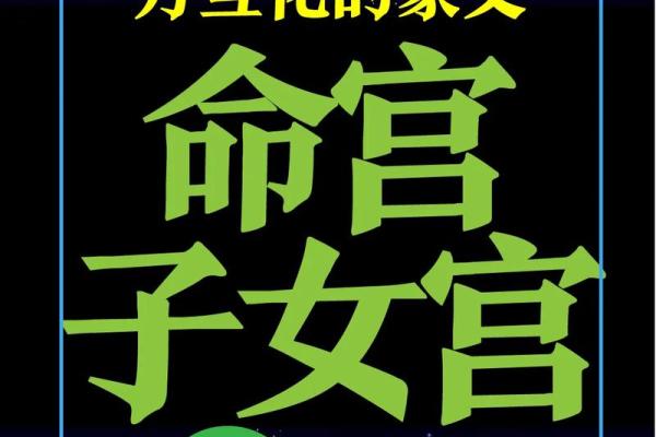 能嫁有钱老公的紫薇斗数女