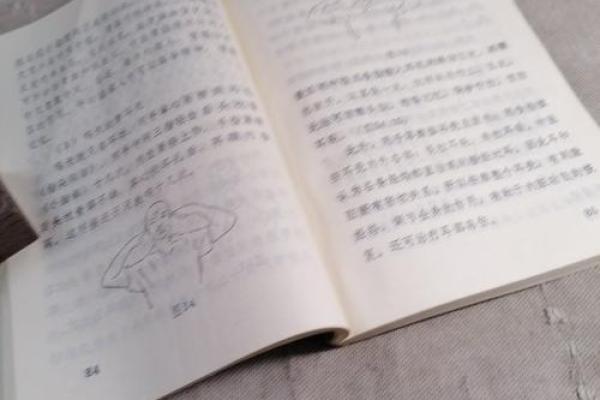 散文：长寿的“八字真经”