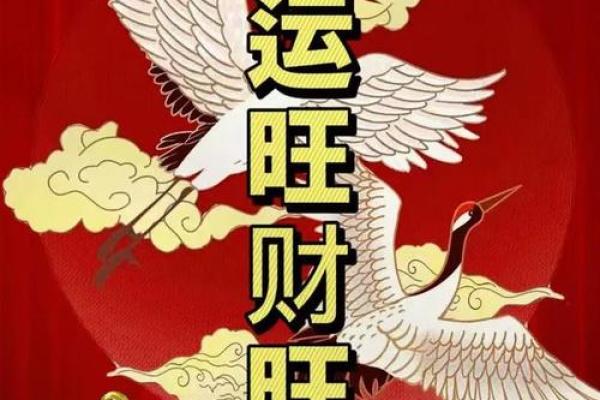 奇门风水2015