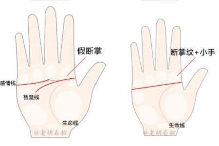 手相假断掌算命图解
