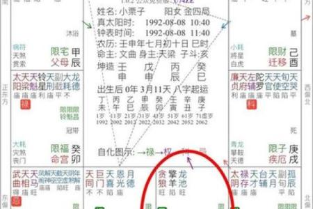 紫薇斗数流年怀孕生子