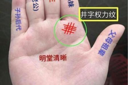 手型算命：兼型手人的性格与命运