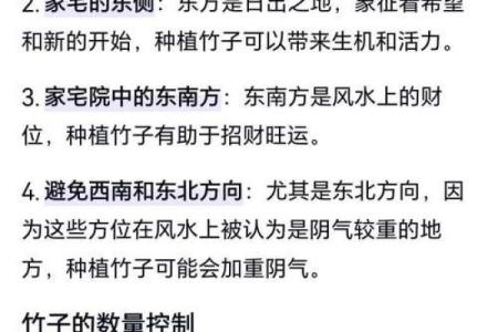 竹竿的风水