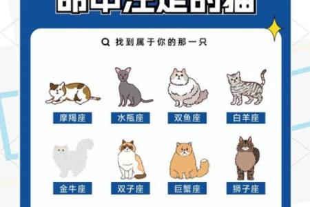 搜索十二星座最适合养的宠物