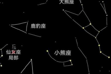 北半球的29个星座分别是哪些