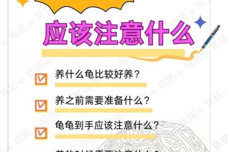 乌龟一般养几只吉利养龟风水养单数还是双数好