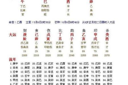 八字命盘养是什么意思