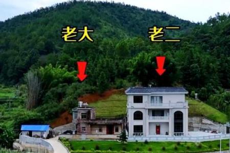 越住越富的房子青龙方位