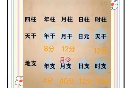 如何看八字