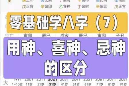 八字基础视频