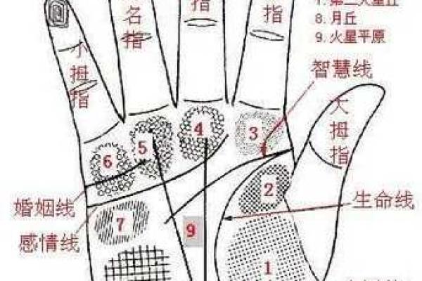 怎样看手相算命,如何学会看手相算命