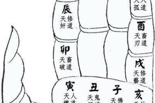 一掌经算命最准的方法
