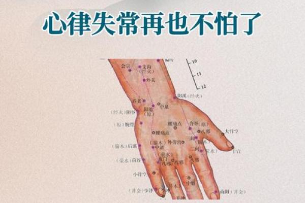 一掌经算命最准的方法