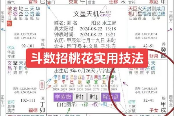 紫薇斗数精成大家