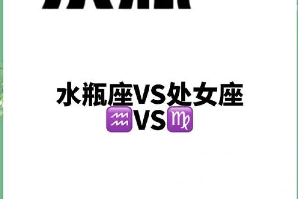 爱水瓶女入骨的星座男 爱水瓶男入骨的星座女