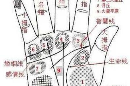 怎样看手相算命,如何学会看手相算命