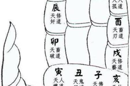 一掌经算命最准的方法